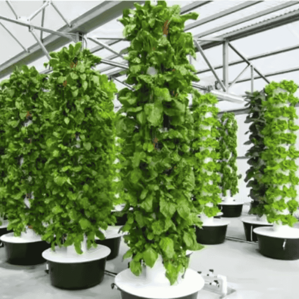 6 Tower Micro Farm